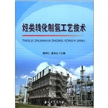 烃类转化制氢工艺技术 pdf epub mobi 下载