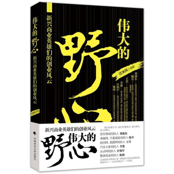 偉大的野心：新興商業英雄們的創業風雲 pdf epub mobi 下载
