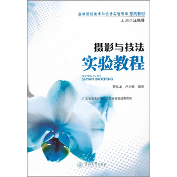 高等院校美术与设计实验教学系列教材：摄影与技法实验教程 pdf epub mobi 电子书 下载
