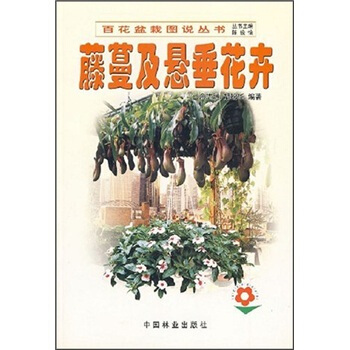 藤蔓及懸垂花卉 pdf epub mobi 電子書 下載
