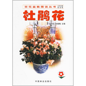 杜鵑花 pdf epub mobi 下载