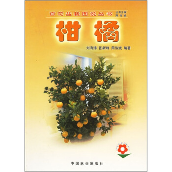 柑橘