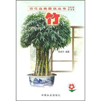 竹 pdf epub mobi 下载
