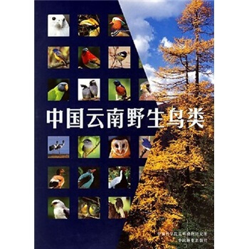 中国云南野生鸟类 pdf epub mobi 下载
