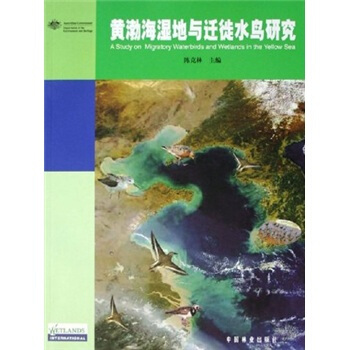 黃渤海濕地與遷徙水鳥研究 pdf epub mobi 下载