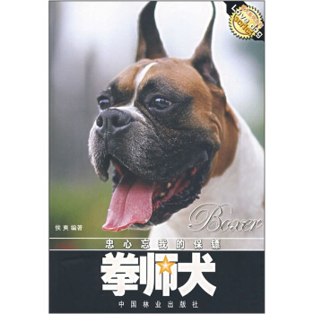 忠心忘我的保鏢：拳師犬 pdf epub mobi 電子書 下載