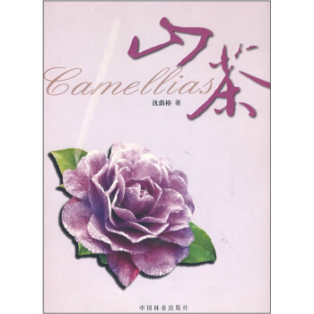 山茶 pdf epub mobi 下载