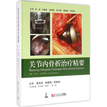 关节内骨折治疗精要 pdf epub mobi 下载