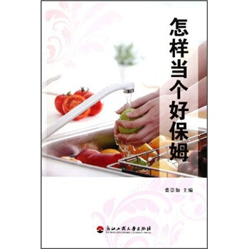 怎样当个好保姆 pdf epub mobi 电子书 下载