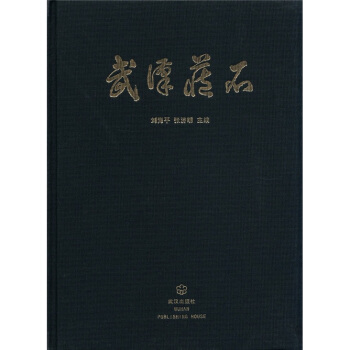 武汉藏石 pdf epub mobi 下载