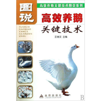 圖說高效養鵝關鍵技術