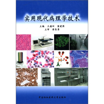 實用現代病理學技術 pdf epub mobi 下载