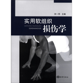 实用软组织损伤学 pdf epub mobi 下载