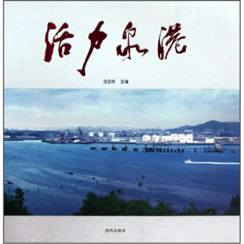 活力泉港 pdf epub mobi 下载