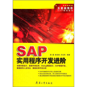 SAP实用程序开发进阶 pdf epub mobi 下载