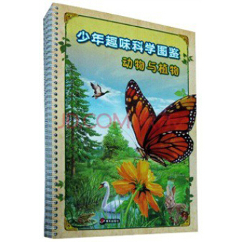 少年趣味科学图鉴（套装4册） [11-14岁] pdf epub mobi 下载