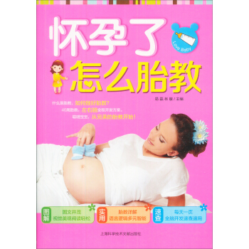 怀孕了，怎么胎教 pdf epub mobi 电子书 下载