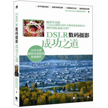 DSLR数码摄影成功之道 pdf epub mobi 下载
