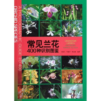 常见兰花400种识别图鉴 pdf epub mobi 下载