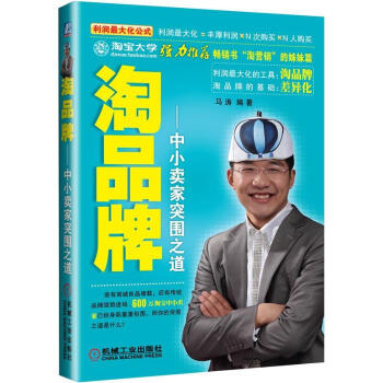 淘品牌：中小卖家突围之道 pdf epub mobi 电子书 下载