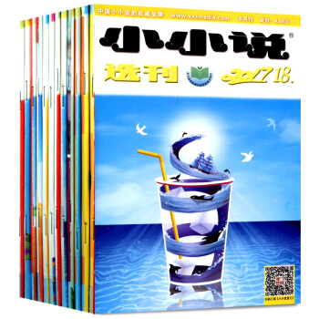 小小说选刊杂志10本打包2017年第6-8/10/11/13/14/18+16年22/24期文学文摘 pdf epub mobi 电子书 下载