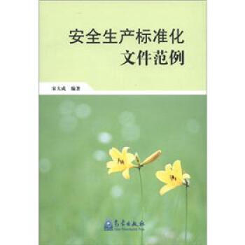 安全生产标准化文件范例 pdf epub mobi 下载