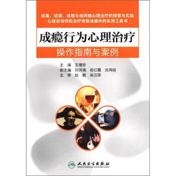 成癮行為心理治療操作指南與案例 pdf epub mobi 下载