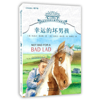 摆渡船当代世界儿童文学金奖书系：幸运的坏男孩 [11-14岁] pdf epub mobi 下载