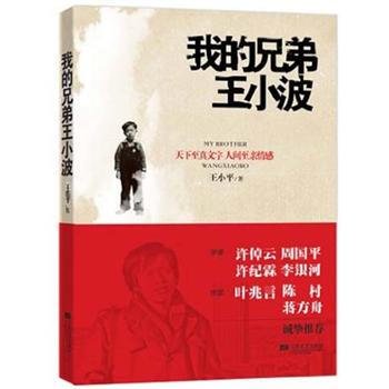 我的兄弟王小波 pdf epub mobi 下载