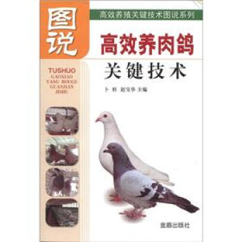 高效养殖关键技术图说系列：图说高效养肉鸽关键技术 pdf epub mobi 下载