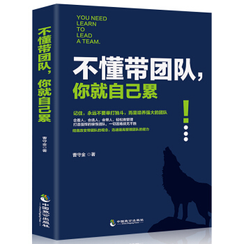 不懂帶團隊你就自己纍團隊管理書籍領導力梯隊企業團隊經營管理書籍 pdf epub mobi 下载