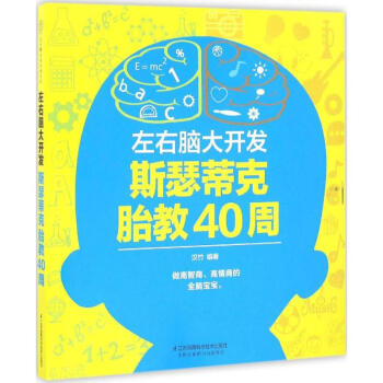 左右脑大开发 斯瑟蒂克胎教40周 pdf epub mobi 电子书 下载