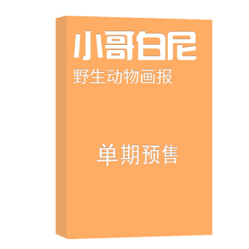 小哥白尼野生动物画报 杂志订阅 2018年8月号单期预订 杂志铺 pdf epub mobi 下载