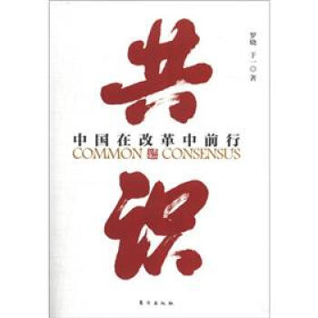 共識：中國在改革中前行 pdf epub mobi 下载