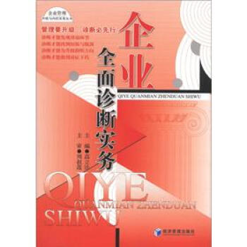 企业管理升级与内控实务丛书：企业全面诊断实务 pdf epub mobi 下载