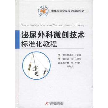 泌尿外科微创技术标准化教程 [Standardization Tutorials of Minimally Invasive Urology] pdf epub mobi 下载