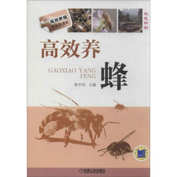 高效養蜂 pdf epub mobi 下载