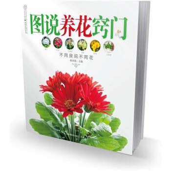 图说养花窍门 pdf epub mobi 电子书 下载