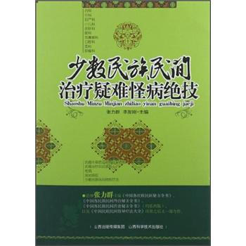 少數民族民間治療疑難怪病絕技 pdf epub mobi 下载