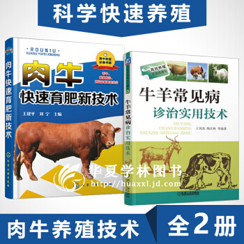养牛技术大全 肉牛养殖技术书籍 牛羊常见病诊治实用技术 2本套装 养牛书籍 pdf epub mobi 下载