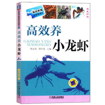 小龙虾养殖书籍：高效养小龙虾 如何养殖小龙虾书籍 水产养殖书籍 pdf epub mobi 下载
