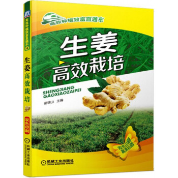 生薑栽培生薑種植書籍：生薑高效栽培(高效種植緻富直通車 pdf epub mobi 電子書 下載