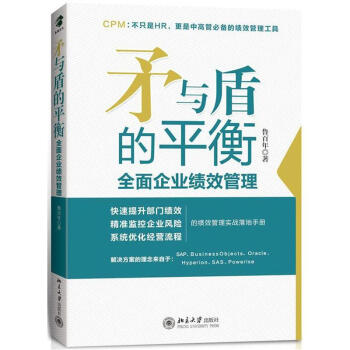 矛与盾的平衡：全面企业绩效管理 pdf epub mobi 下载