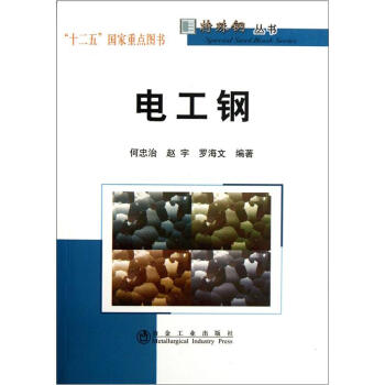 电工钢 pdf epub mobi 电子书 下载