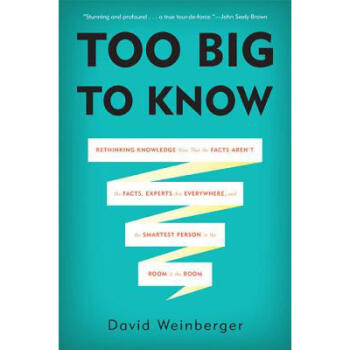 Too Big to Know: Rethinking Knowledge Now ... pdf epub mobi 下载