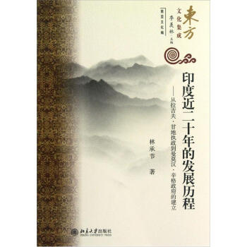 印度近二十年的發展曆程：從拉吉夫·甘地執政到曼莫漢·辛格政府的建立 pdf epub mobi 下载