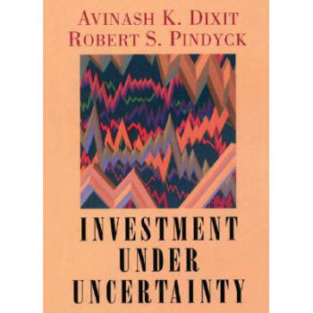 Investment Under Uncertainty
