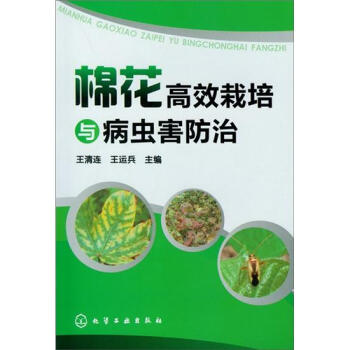 棉花高效栽培与病虫害防治 pdf epub mobi 电子书 下载