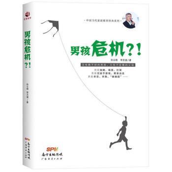 男孩危机?!(不错畅销书《拯救男孩》全新升级版) pdf epub mobi 电子书 下载