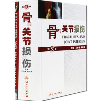 骨與關節損傷（第5版） pdf epub mobi 下载